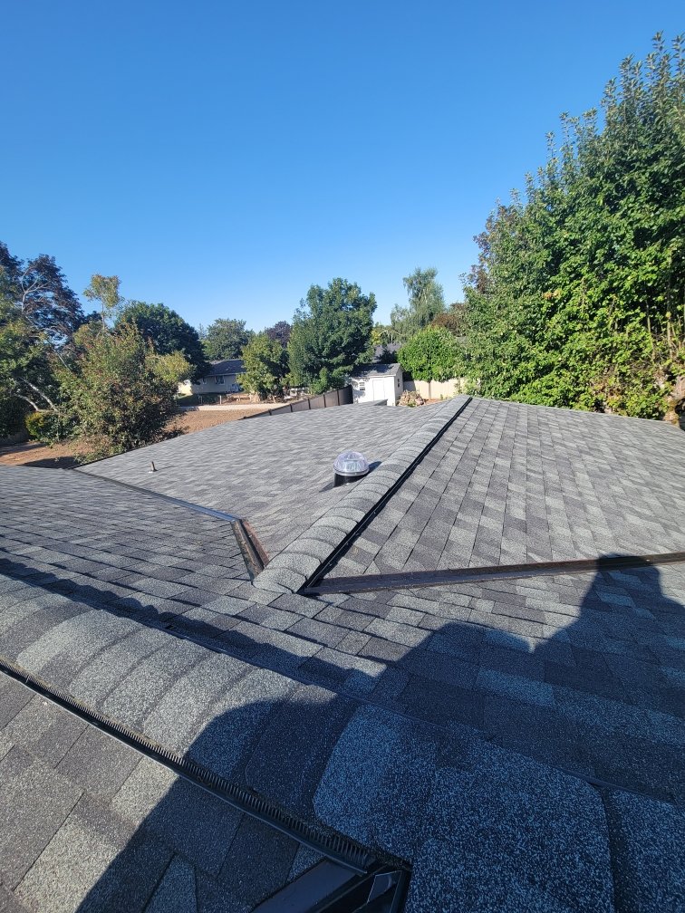 Roof 1