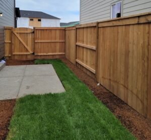 Fence 1