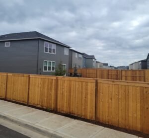 Fence 4
